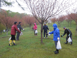 21世紀の桜の丘市民育樹祭 