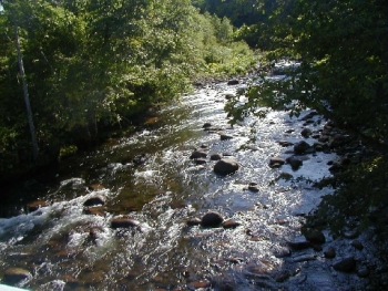 水道水の水質_画像