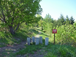 遊歩道の入り口