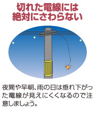 切れた電線には絶対に触らない