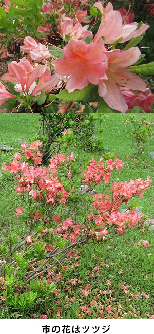 市の花はツツジ